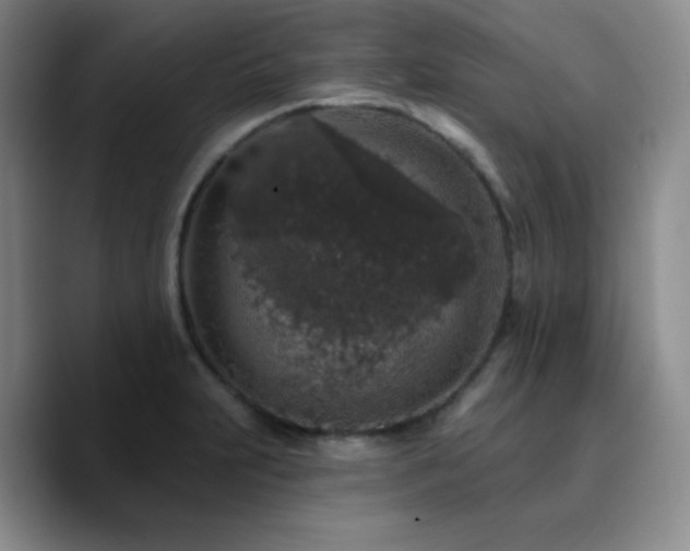 X0000090731231200707201402