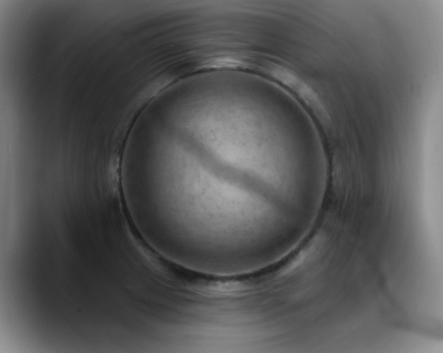 X0000090731233200707201402