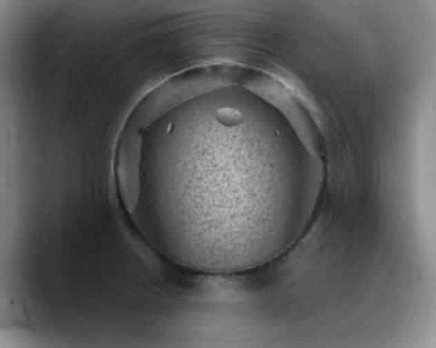 X0000090731234200707201402
