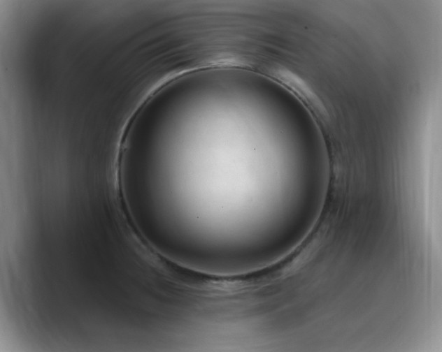 X0000090731236200707201402