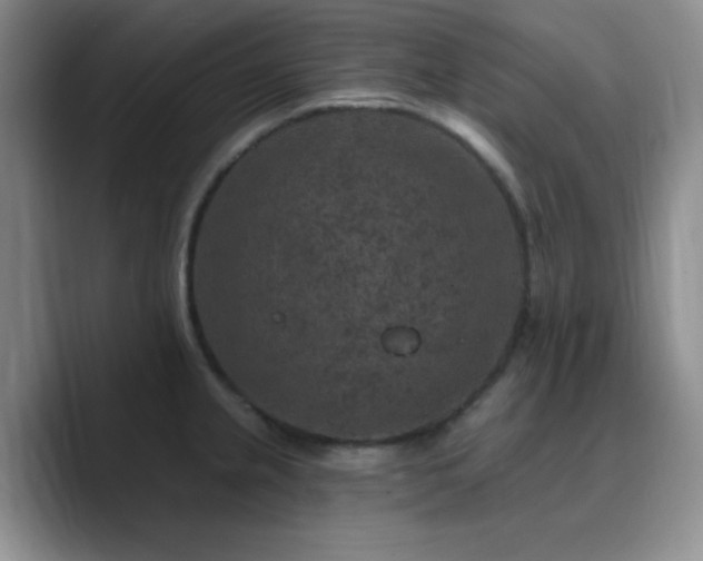 X0000090731237200707201402