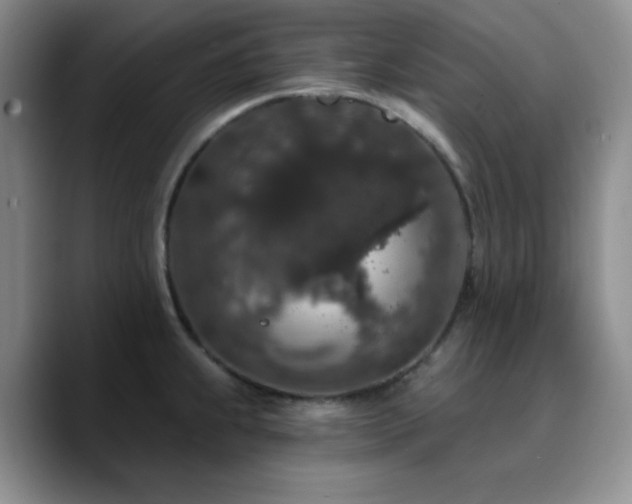 X0000090731239200707201402