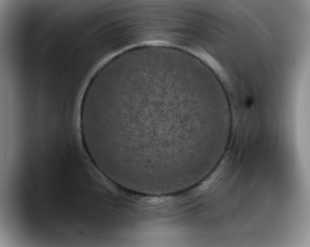 X0000090731240200707201402