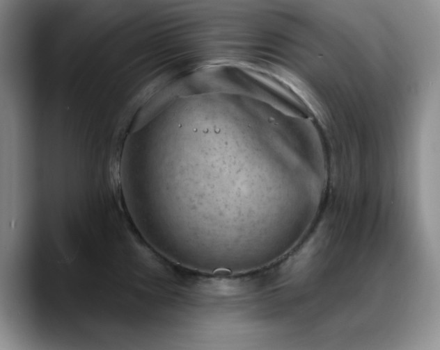 X0000090731241200707201402