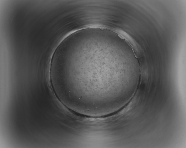 X0000090731244200707201402