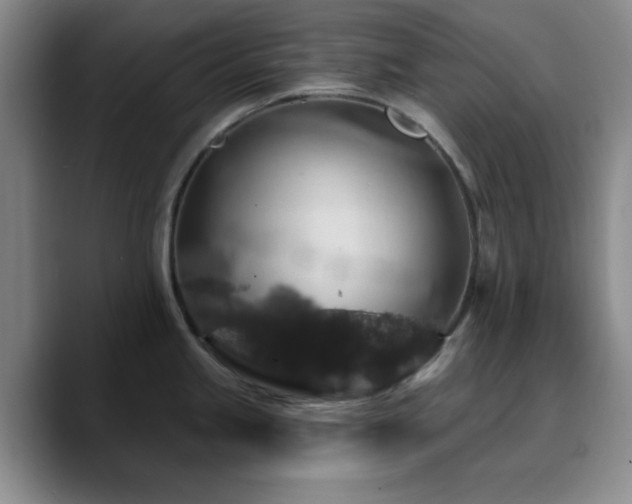 X0000090731245200707201402
