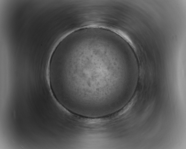 X0000090731247200707201402
