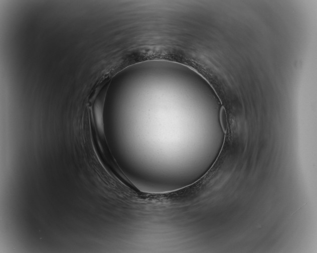 X0000090731250200707201402