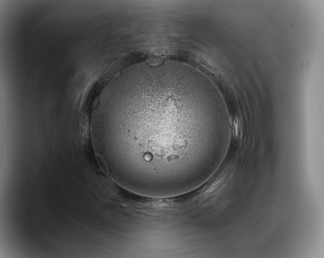 X0000090731251200707201402