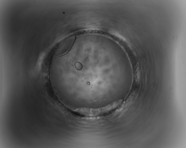 X0000090731255200707201402