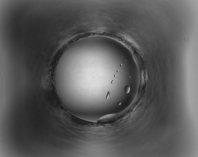 X0000090731256200707201401