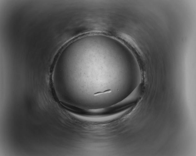 X0000090731260200707201401
