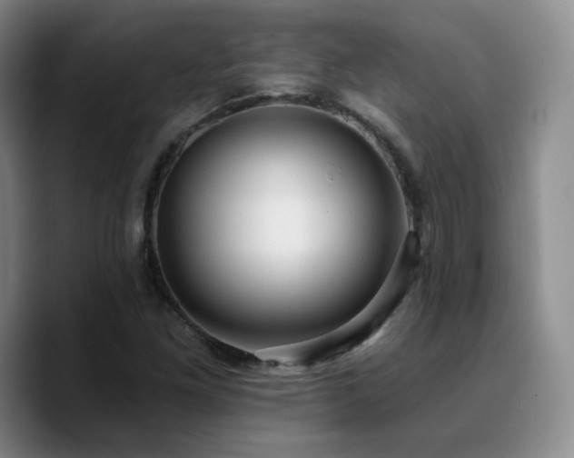 X0000090731261200707201401