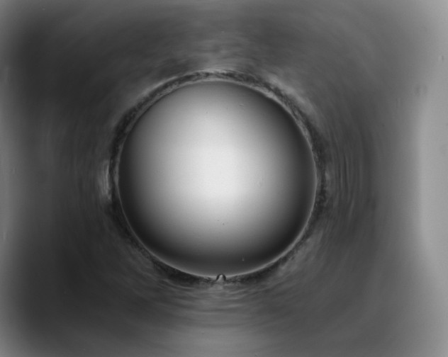 X0000090731262200707201401