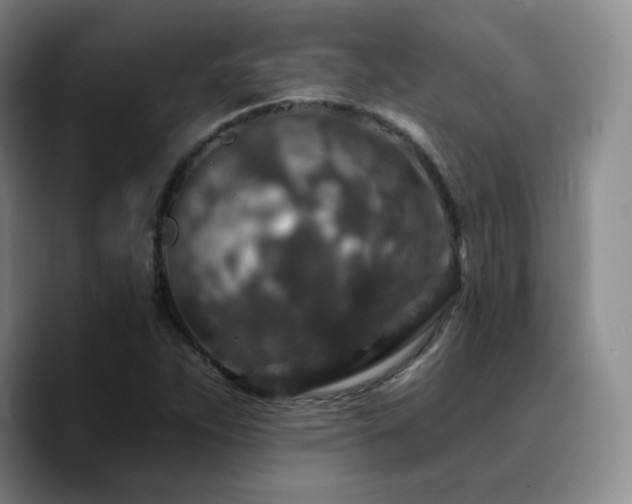 X0000090731263200707201401