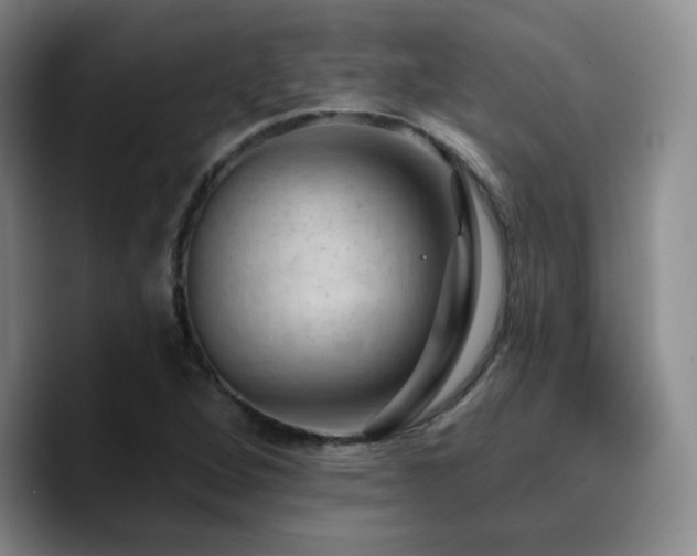 X0000090731264200707201401