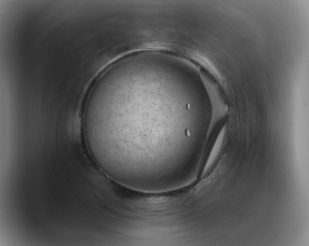 X0000090731268200707201401