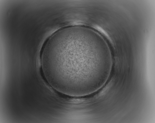 X0000090731269200707201401