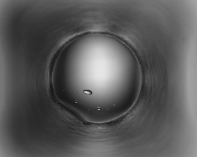 X0000090731270200707201401