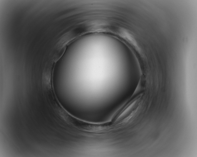 X0000090731273200707201401