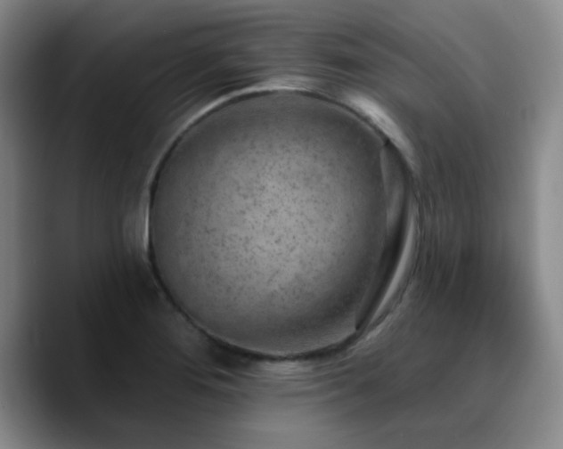 X0000090731276200707201401