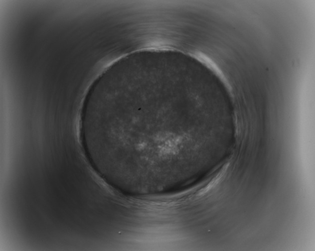 X0000090731277200707201401