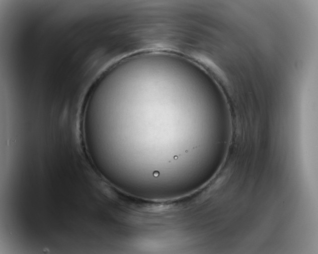 X0000090731278200707201401