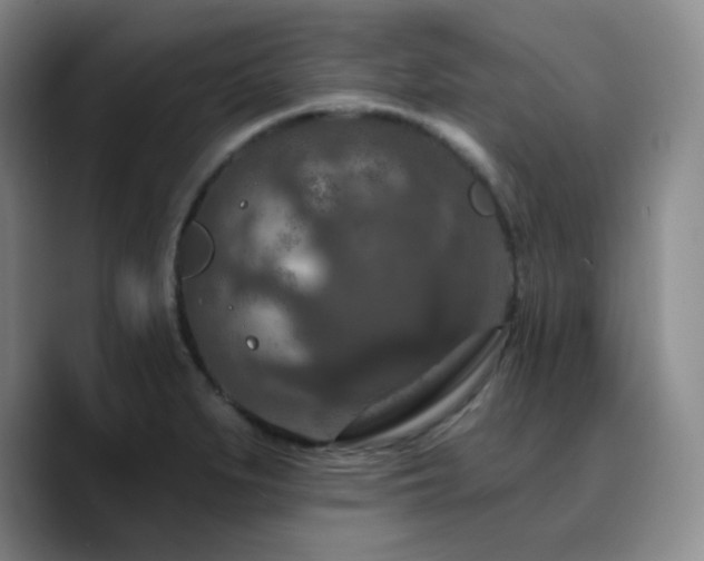 X0000090731279200707201401