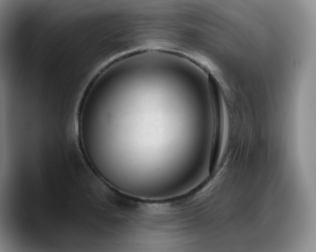 X0000090731280200707201401