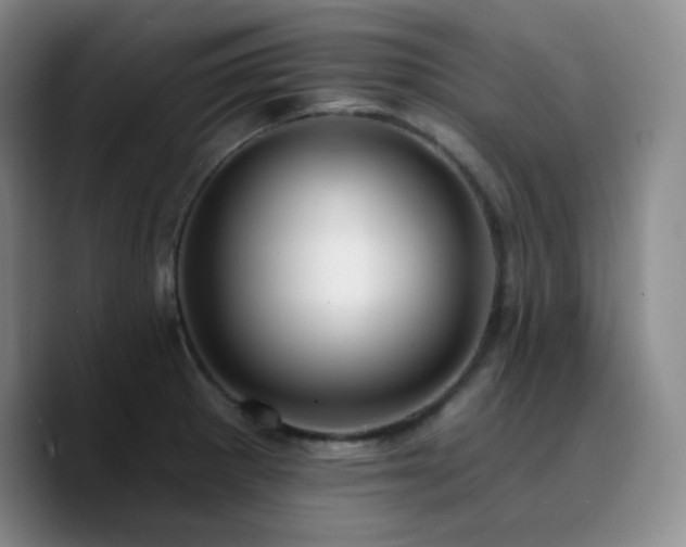 X0000090731281200707201401
