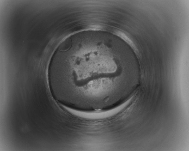 X0000090731283200707201401