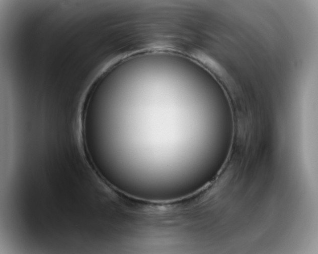 X0000090731286200707201401