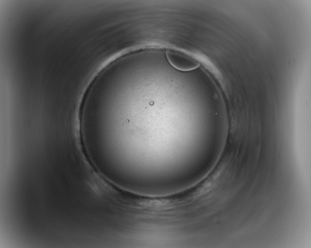 X0000090731287200707201401