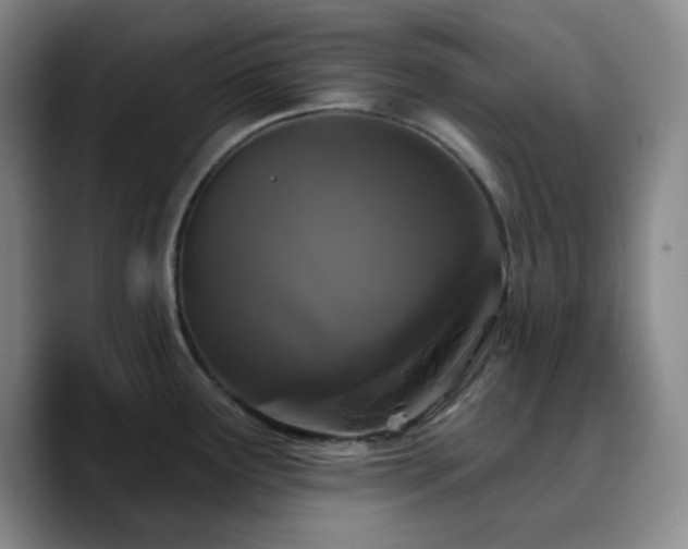 X0000090731291200707201401