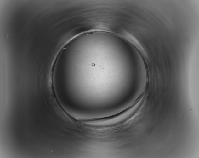 X0000090731292200707201401