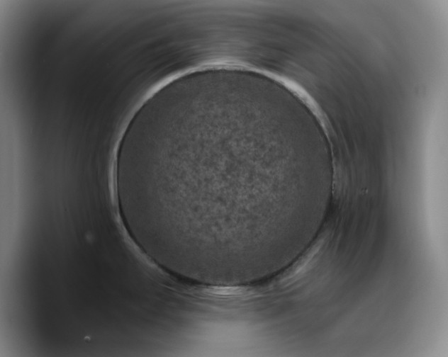 X0000090731295200707201401