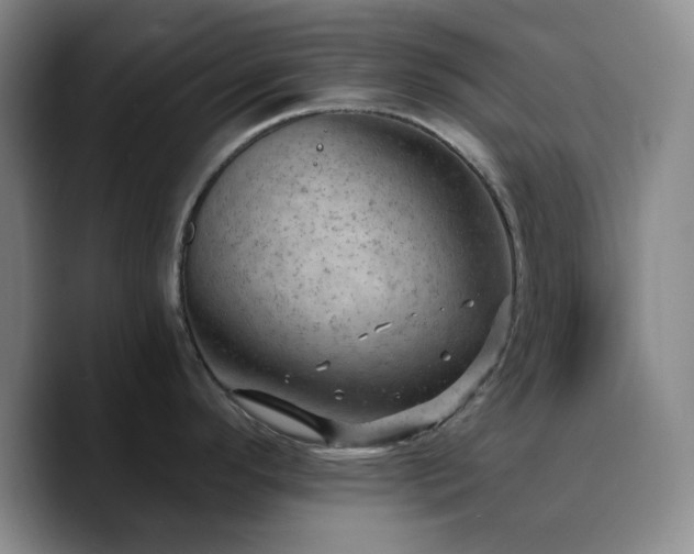 X0000090731296200707201401