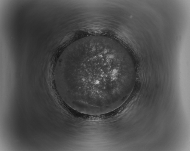X0000090731297200707201400