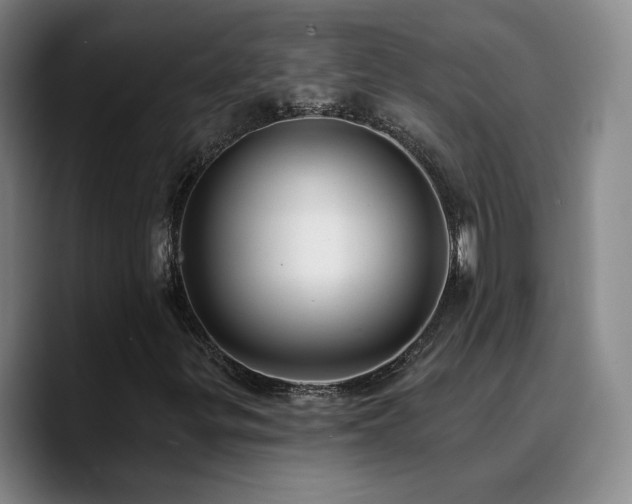 X0000090731299200707201400