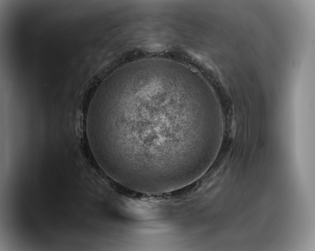 X0000090731301200707201400