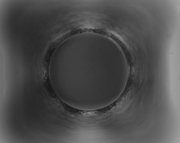 X0000090731303200707201400