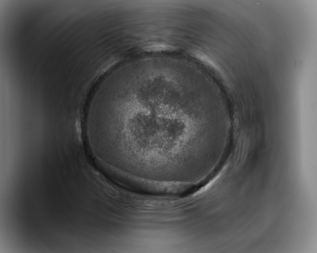X0000090731305200707201400