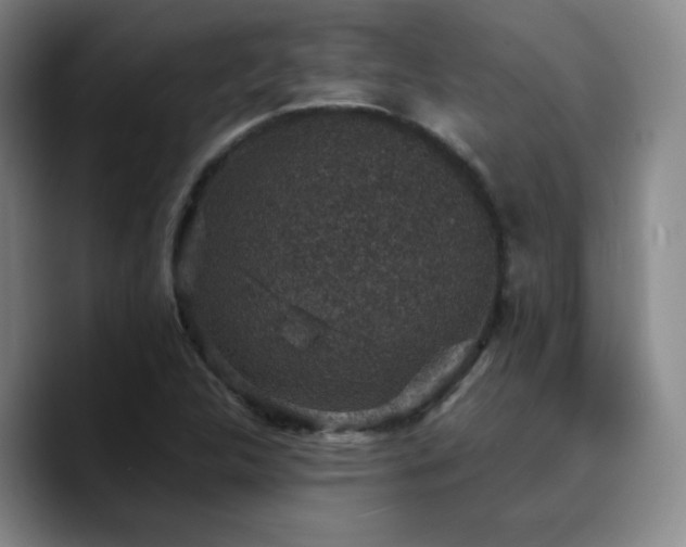 X0000090731312200707201401
