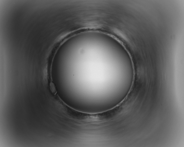 X0000090731315200707201401