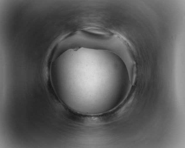 X0000090731317200707201401