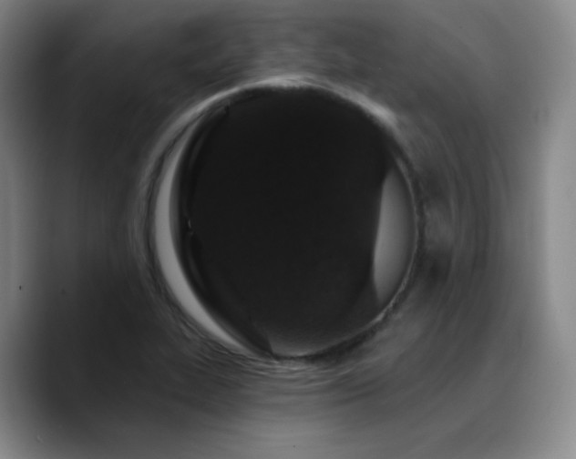X0000090731319200707201401
