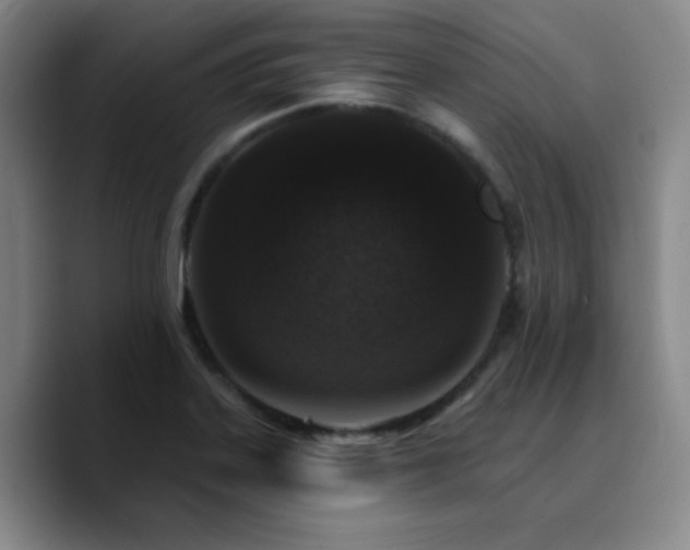 X0000090731323200707201401