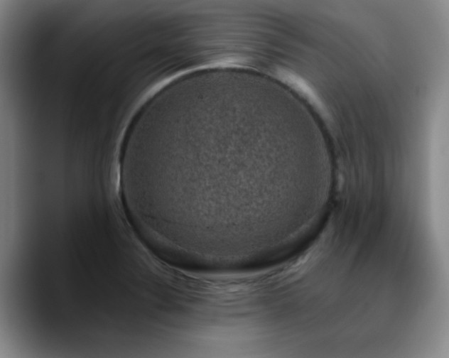 X0000090731324200707201401