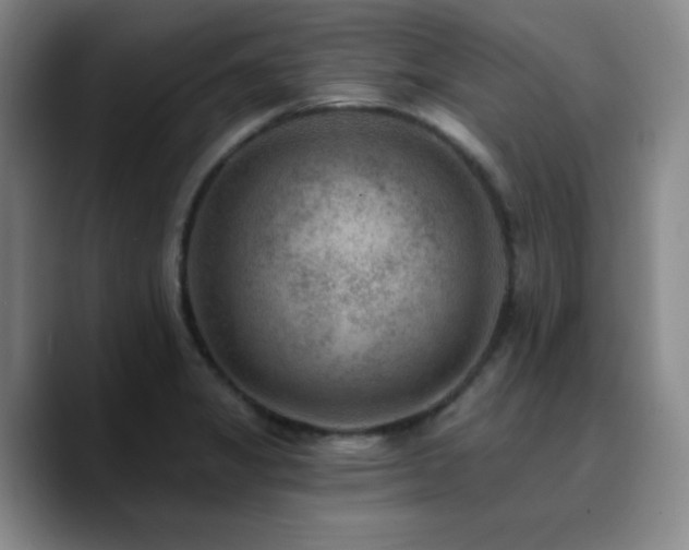 X0000090731325200707201401