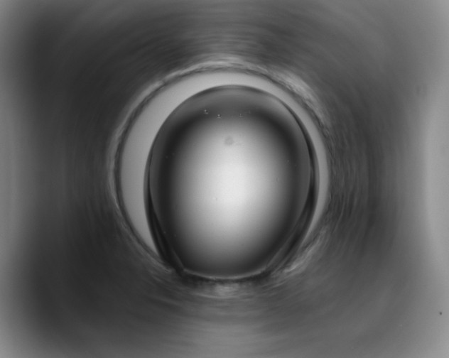 X0000090731326200707201401